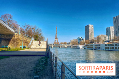 Île aux Cygnes - IMG 9088