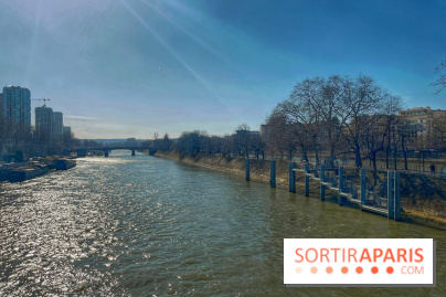 Île aux Cygnes - IMG 9089