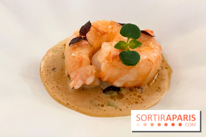 Episodes - Langoustine, céleri, bergamote