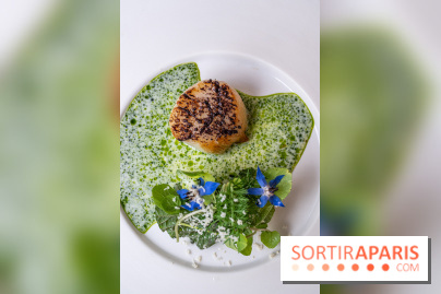 Granite, le restaurant étoilé par le talentueux par Yoshitaka Takayanagi - A7C02813