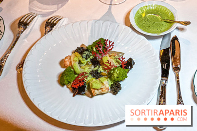 La Forêt Secrète par Jean Imbert au Disneyland Hotel - image00046