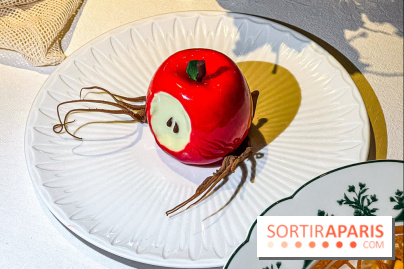 La Forêt Secrète par Jean Imbert au Disneyland Hotel - image00062