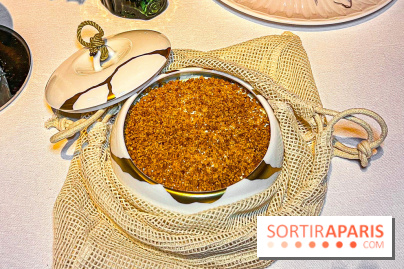 La Forêt Secrète par Jean Imbert au Disneyland Hotel - image00068