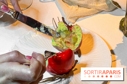 La Forêt Secrète par Jean Imbert au Disneyland Hotel - image00074