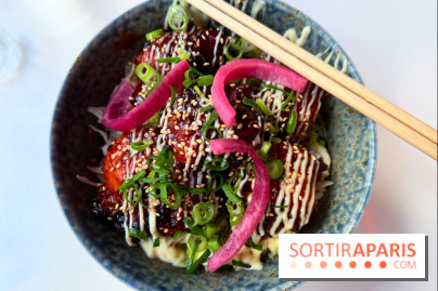 Kuma - Donburi karaage