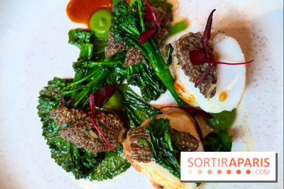 Colvert - Lotte au binchotan, morilles