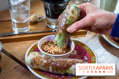 Ngoc Xuyen Saigon, le restaurant vietnamien du 13e aux bons pho et soupes de nouilles - rouleau de printemps