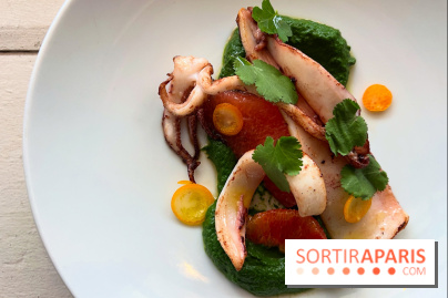 Sauvage - Encornets, agrumes, herbes