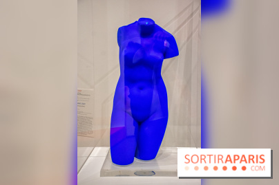 Exposition Tous Léger! au Musée du Luxembourg - DSC 2545