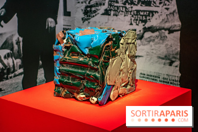 Exposition Tous Léger! au Musée du Luxembourg - DSC 2564