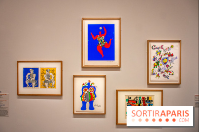 Exposition Tous Léger! au Musée du Luxembourg - DSC 2575