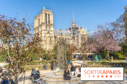 Le Square Viviani devant Notre-Dame de Paris