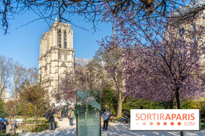 Le Square Viviani devant Notre-Dame de Paris
