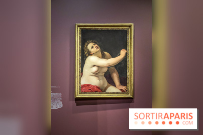 Exposition Artemisia, héroïne de l'art au musée Jacquemart-André - IMG 3509