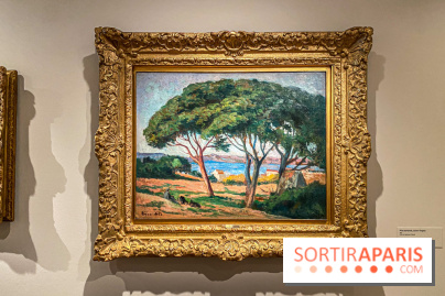 Exposition Maximilien Luce au Musée de Montmartre  - IMG 3600