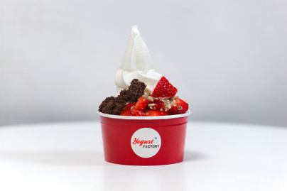 Yogurt Factory à Paris