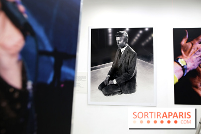 David Bowie, Mr Jones’ Long Hair, nos photos de l'expo à Paris - Expo Bowie 14 fotor 2025032121188