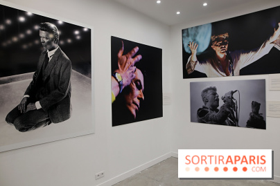 David Bowie, Mr Jones’ Long Hair, nos photos de l'expo à Paris - Expo Bowie 21 fotor 20250321211416