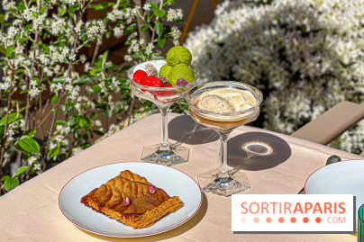 Le Jardin : le nouveau restaurant-terrasse bucolique d'Alain Ducasse chez Baccarat  - image00092