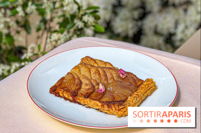 Le Jardin : le nouveau restaurant-terrasse bucolique d'Alain Ducasse chez Baccarat  - image00094