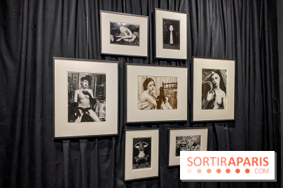 Exposition Irina Ionesco aux galeries Rachel Hardouin et La Lison