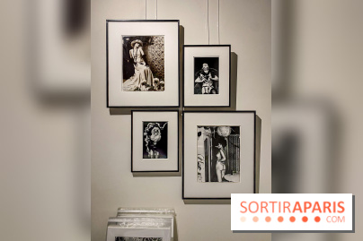 Exposition Irina Ionesco aux galeries Rachel Hardouin et La Lison