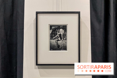Exposition Irina Ionesco aux galeries Rachel Hardouin et La Lison
