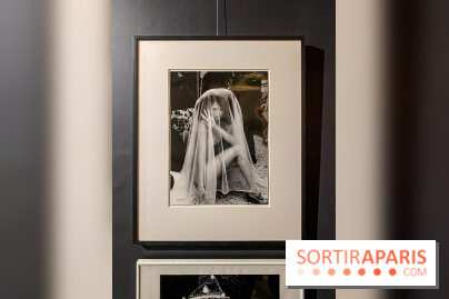 Exposition Irina Ionesco aux galeries Rachel Hardouin et La Lison