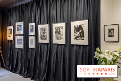 Exposition Irina Ionesco aux galeries Rachel Hardouin et La Lison
