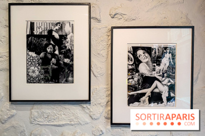 Exposition Irina Ionesco aux galeries Rachel Hardouin et La Lison