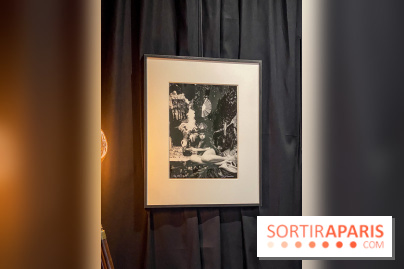 Exposition Irina Ionesco aux galeries Rachel Hardouin et La Lison
