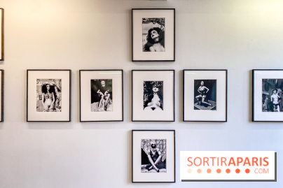 Exposition Irina Ionesco aux galeries Rachel Hardouin et La Lison
