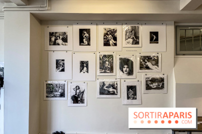 Exposition Irina Ionesco aux galeries Rachel Hardouin et La Lison
