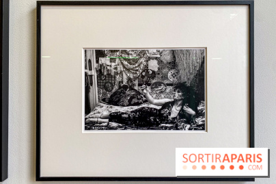 Exposition Irina Ionesco aux galeries Rachel Hardouin et La Lison