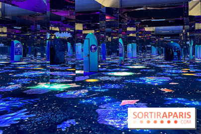 Bubble Planet : l'expérience immersive dans le royaume des bulles éclate enfin à Paris