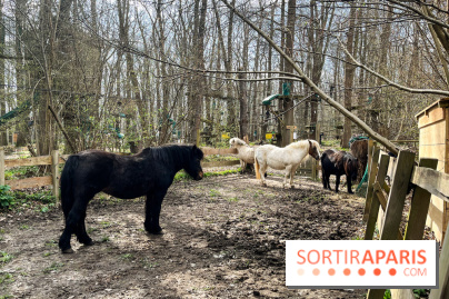 Sherwood Parc 2025 - nos photos - image00018