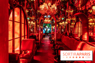 L'Hôtel Sax à Paris se dévoile - les photos