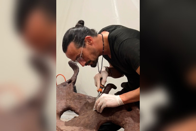 Printemps Canopee Kristaline - CANOPEE LARMES 7  GAEL CLAVIERE @DR