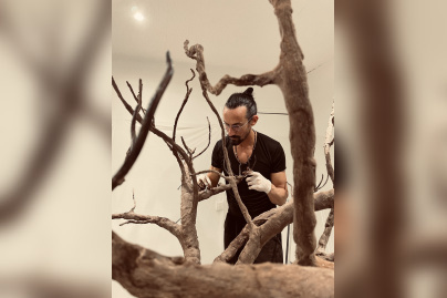 Printemps Canopee Kristaline - CANOPEE LARMES 9 GAEL CLAVIERE @DR