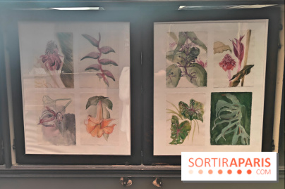 Des Chimères : l'exposition mystique à découvrir au musée Gustave Moreau, nos photos - fotor 1743190945332