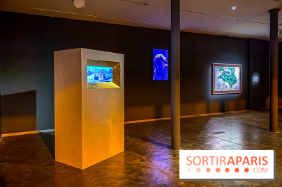 Exposition As Above So Below de Mark Leckey à Lafayette Anticipations  - IMG 3839