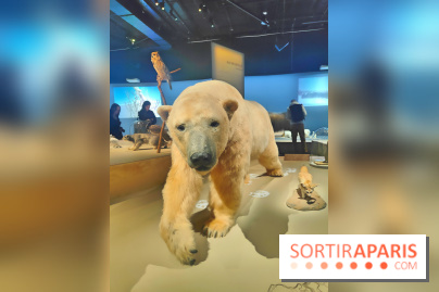Déserts : l'exposition scientifique se dévoile au Muséum d'Histoire naturelle de Paris