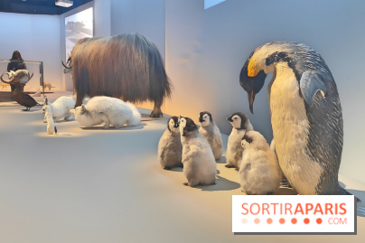 Déserts : l'exposition scientifique se dévoile au Muséum d'Histoire naturelle de Paris