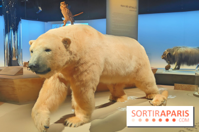 Déserts : l'exposition scientifique se dévoile au Muséum d'Histoire naturelle de Paris