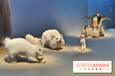 Déserts : l'exposition scientifique se dévoile au Muséum d'Histoire naturelle de Paris
