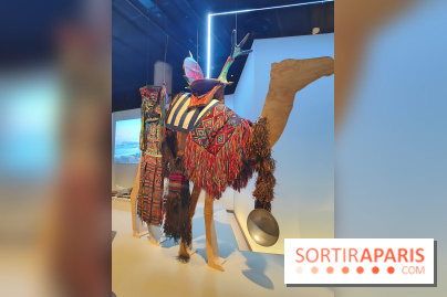 Déserts : l'exposition scientifique se dévoile au Muséum d'Histoire naturelle de Paris