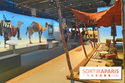 Déserts : l'exposition scientifique se dévoile au Muséum d'Histoire naturelle de Paris