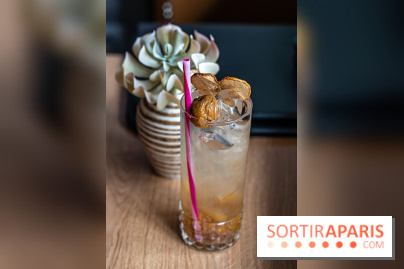 Buja restaurant végétarien thaï et Viet Paris 13e - photos - boisson prune 