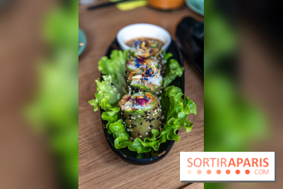 Buja restaurant végétarien thaï et Viet Paris 13e - photos - rouleau de printemps