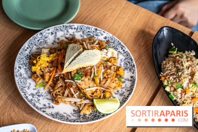 Buja restaurant végétarien thaï et Viet Paris 13e - photos - pas thai